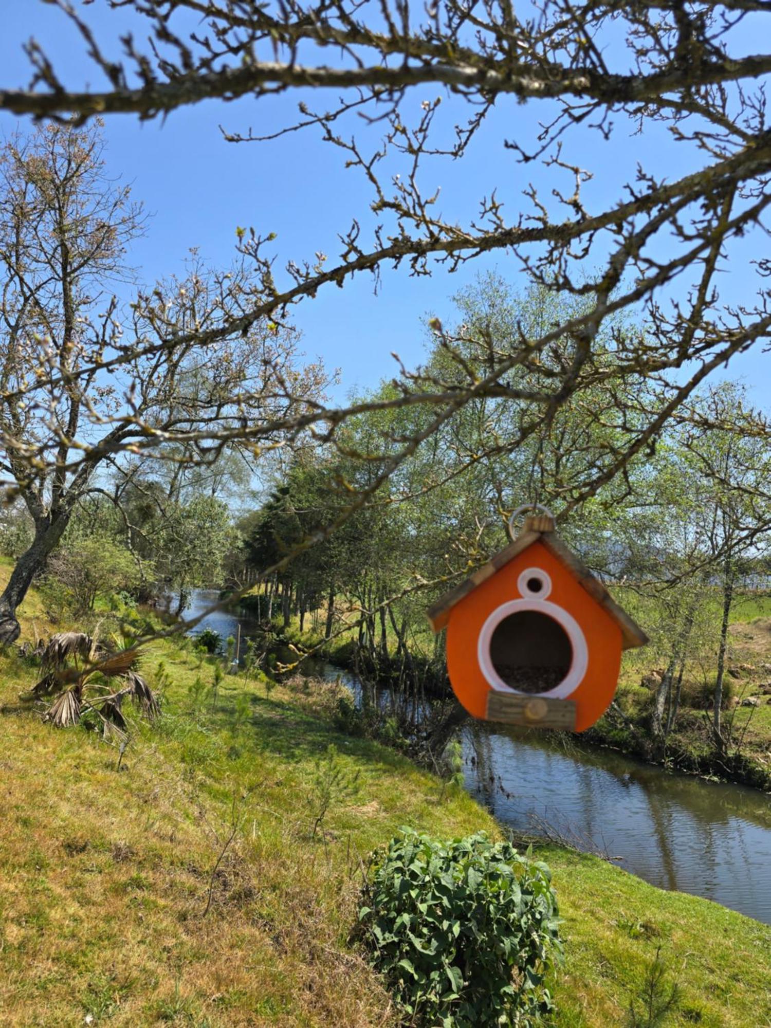 Cabana El Rio La Grande Zacatlán Extérieur photo